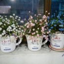 정인당한의원 이미지