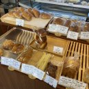 촉촉베이커리 앤 카페 이미지