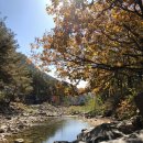 별이 빛나는 밤에 펜션 캠핑 이미지