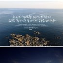 폰트생각