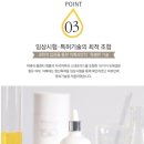 코끼리라이브