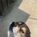 판암근린공원 이미지