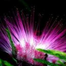 황제고물상 이미지