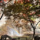 경천추어탕 | [강천산 당일치기] 가족들과 순창강천산/순창고추장축제/담양메타프로방스/맛집투어