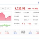 펄인베스트먼트