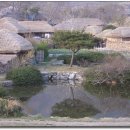 순천-72호 티스토리