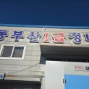 동부산1급정비 | 정관 자동차종합검사소.동부산1급정비. 정기검사받기