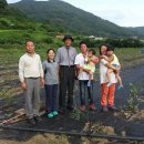 완도농장 이미지