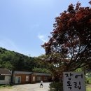 장어독립가평 - 가평군 운악청계로 75 | 가평 장어 맛집 장어독립 설악본점 후기｜소금구이부터 장어탕까지 제대로 즐기고 온 곳