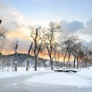 호텔정관루별관(콘도별장) 이미지