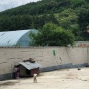 안흥주유소 이미지