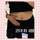 논실카 | [임신기록] 21-25주차, 첫 태동 느낀 날 /일본 오사카 여행/ 안산 카스토리 선팅후기 /시흥 장현동 이사