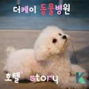 더케이 동물병원 이미지