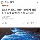 코로나로 인적 끊긴 아카풀코..60년만 진객 돌아왔다 이미지