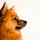 서울에이아이의원 이미지