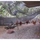 홍양농장 이미지