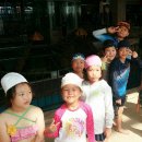 경희대 연호 태권도 이미지