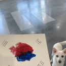 두유 개린이집 이미지