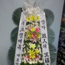 크렘에듀