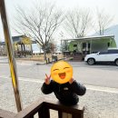 힐링카라반 | 3월 안동 임하호캠핑수상레저타운 카라반 힐링 후기