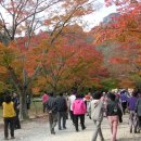 매창공원 이미지