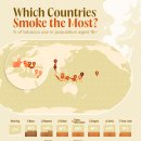 지도: 흡연율이 가장 높은 15개 국가 이미지