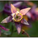 광주도자기엑스포장 이미지