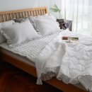 찬스바이오 이미지