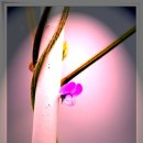 형제사슴목장 이미지