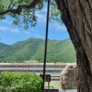 정선고등학교 이미지