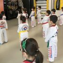 경희 태권 히어로즈 이미지