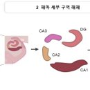 제광경로당 이미지
