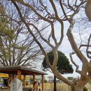 서수면사무소 이미지