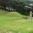 김흥근 선생 묘 이미지