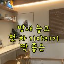 달빛카페24시