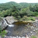삼척 활기 치유의 숲 이미지