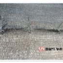 한땀수선 - 은평구 통일로68길 12-9 | 한땀수선