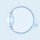 원시로2 이미지