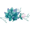 더(the)드림 이미지