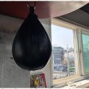 대한체육관 | 신림운동 신림동 대한권투체육관 체험 후기