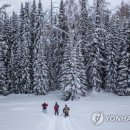 영남알프스 복합웰컴센터 세미나실 이미지