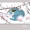 손님 -2월 매조 이미지