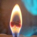 경기도 수원시 팔달구 세지로399번길 이미지