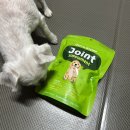 달성축산동물병원 | 동물병원 입점 강아지 관절 영양제 제리스타일스 조인트 파우치 후기