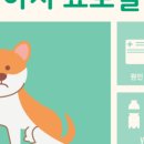 백석동물병원 이미지