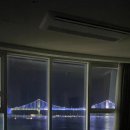 쇼펠리스 이미지