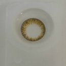 양재점 글라스박스 이미지