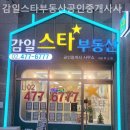 감일스타부동산공인중개사사무소 이미지