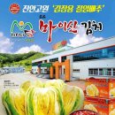 마이담 이미지