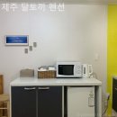 시간토끼 | 제주도펜션 제주 달토끼 펜션 영업시간 위치 후기